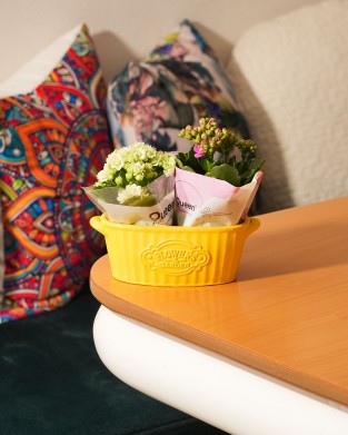 KALANCHOE BLOSSFELDIANA ''2Lİ SET'' (ATEŞLİ KATY) 