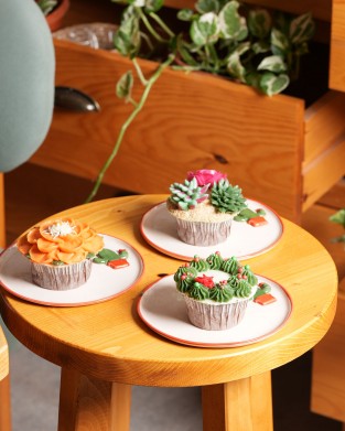 BKD CUPCAKE 